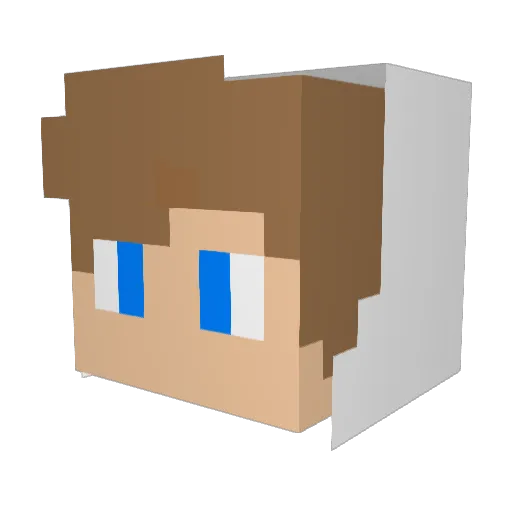 FireNoodles89 Minecraft avatar head, 3D render