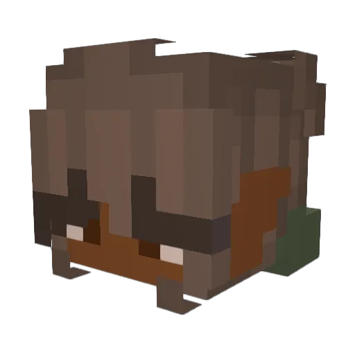 FireOnion Minecraft avatar head, 3D render
