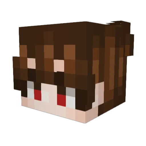 FirePhoenix209 Minecraft avatar head, 3D render