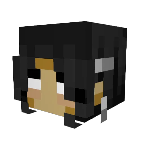 FirePhoenix88 Minecraft avatar head, 3D render