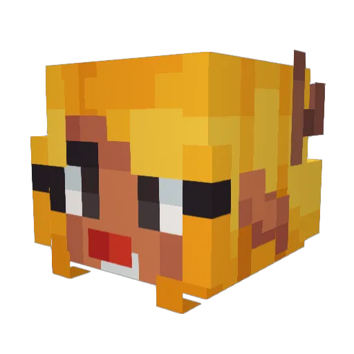 FireRainV Minecraft avatar head, 3D render
