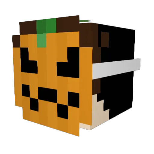 FireRed7879 Minecraft avatar head, 3D render