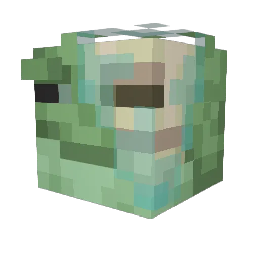 FireSkullNate Minecraft avatar head, 3D render