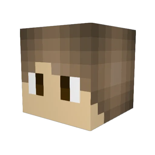 FireStorm_JAT Minecraft avatar head, 3D render