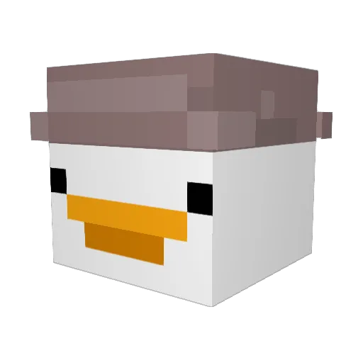 FireSun1 Minecraft avatar head, 3D render