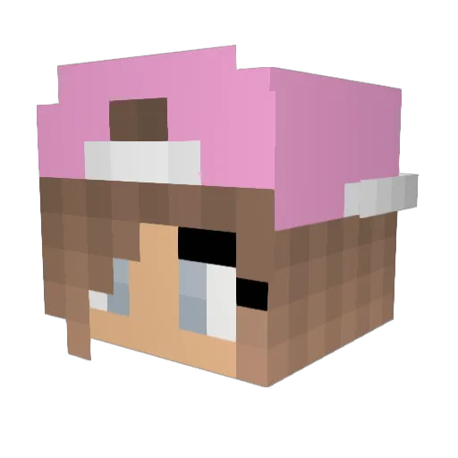 FireTeamPalmer Minecraft avatar head, 3D render