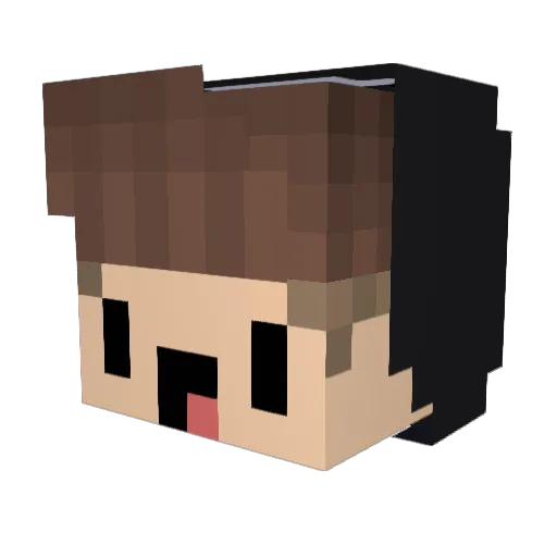 FireTit4n Minecraft avatar head, 3D render
