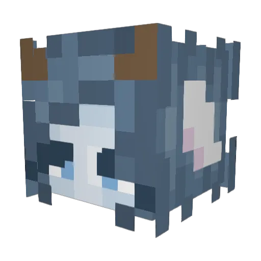 FireWhisper1841 Minecraft avatar head, 3D render