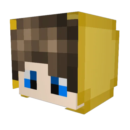 FireWolf637 Minecraft avatar head, 3D render