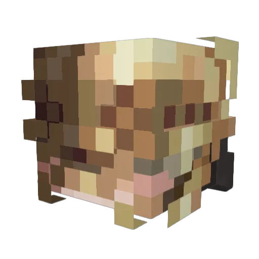 FireZeZ Minecraft avatar head, 3D render