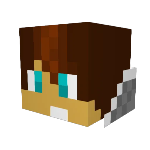 FireZeus223 Minecraft avatar head, 3D render