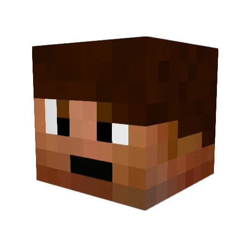 Fire_AspectXI Minecraft avatar head, 3D render