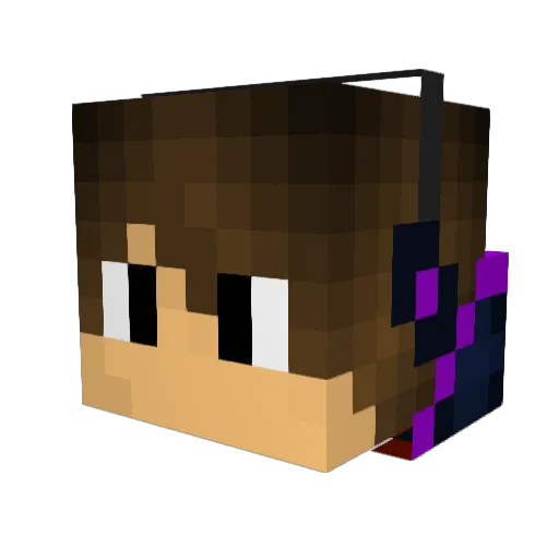 Fire_Boys_Mason Minecraft avatar head, 3D render