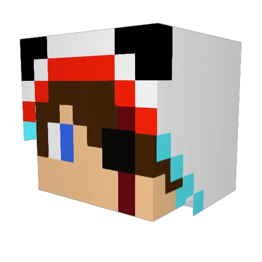 Fire_Fox4321 Minecraft avatar head, 3D render