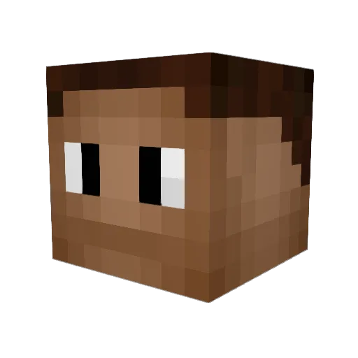 Fire_Hex Minecraft avatar head, 3D render