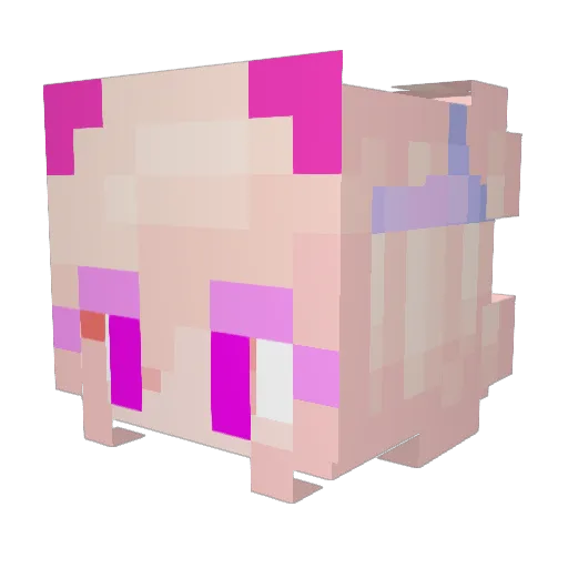 Fire_Phoenix23 Minecraft avatar head, 3D render