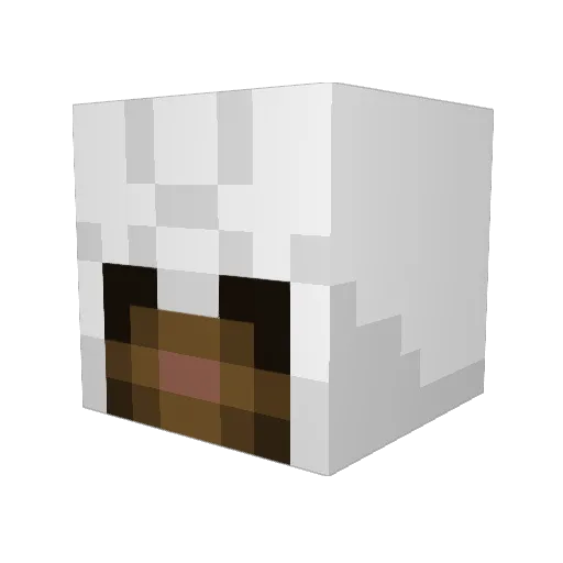 Fire_Tom Minecraft avatar head, 3D render