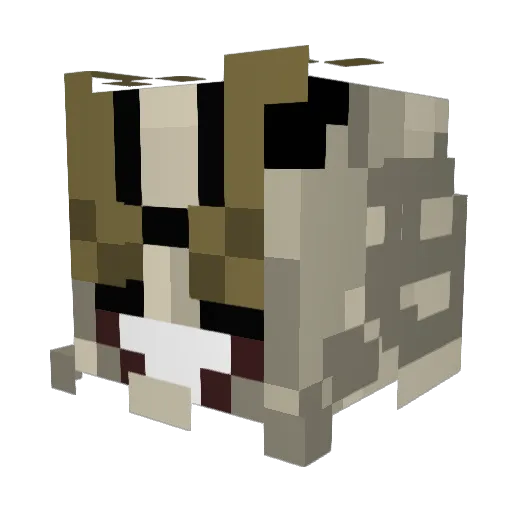 Fire_dragon207 Minecraft avatar head, 3D render