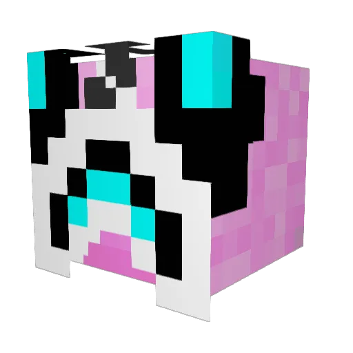FireandIcePvP999 Minecraft avatar head, 3D render