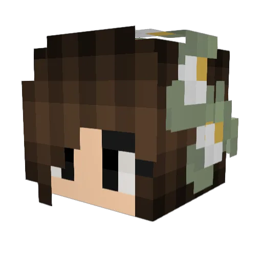 Fireball082 Minecraft avatar head, 3D render