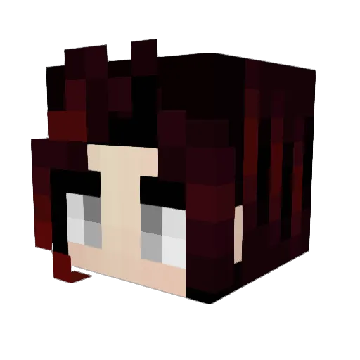 Fireballdanny Minecraft avatar head, 3D render