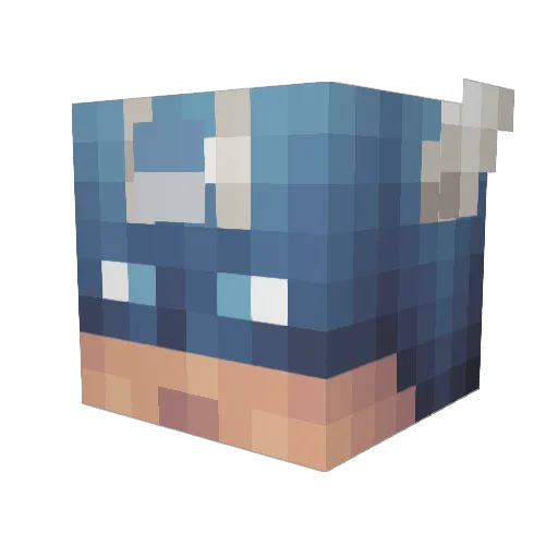 Fireboy426 Minecraft avatar head, 3D render
