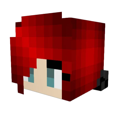 Firebug2020 Minecraft avatar head, 3D render