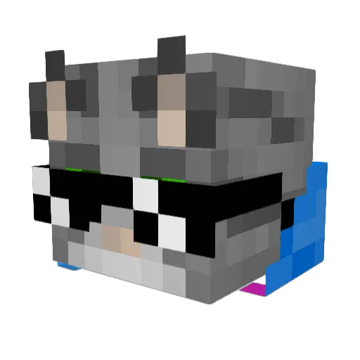 FirecatGG Minecraft avatar head, 3D render