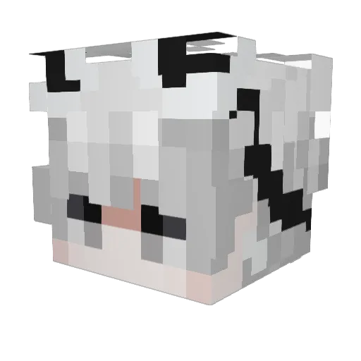 FirechickenMax Minecraft avatar head, 3D render