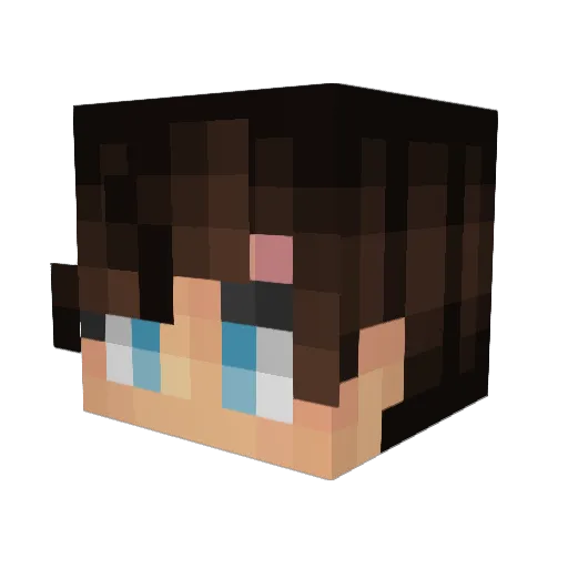 FiredBee5997096 Minecraft avatar head, 3D render