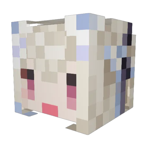FiredFlyer_ Minecraft avatar head, 3D render