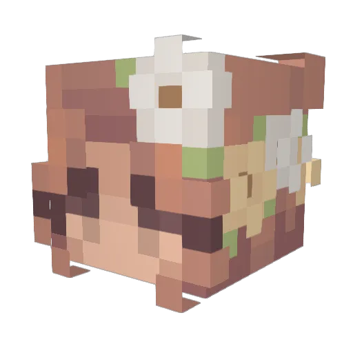 Firedragon2356 Minecraft avatar head, 3D render
