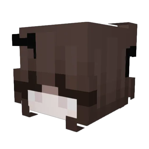 Firedragon509 Minecraft avatar head, 3D render