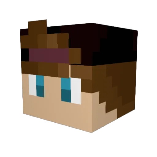 Fireeagle324 Minecraft avatar head, 3D render