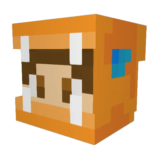 Firefish611 Minecraft avatar head, 3D render