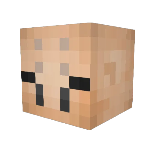 Fireflame030 Minecraft avatar head, 3D render