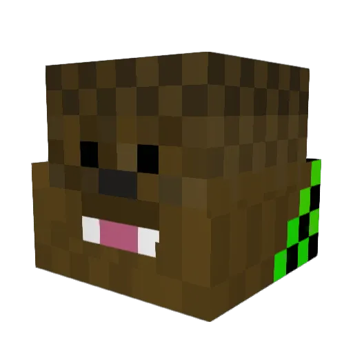 Fireflicker7 Minecraft avatar head, 3D render