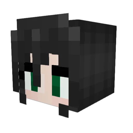 Firefly017 Minecraft avatar head, 3D render