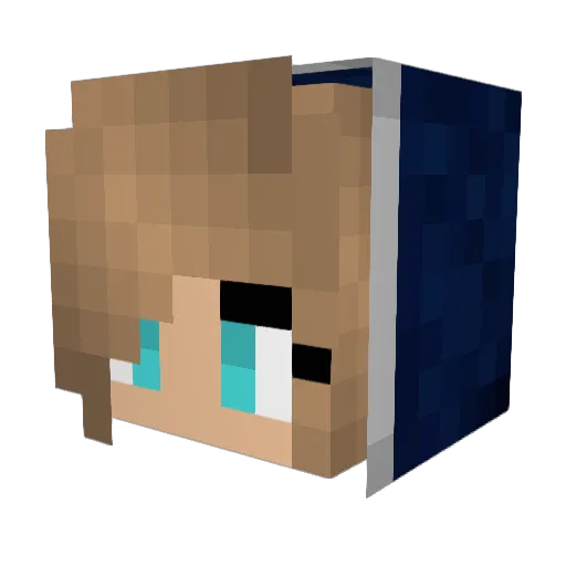 Firefly0308 Minecraft avatar head, 3D render