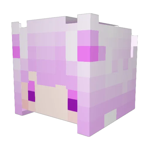 Firefly940 Minecraft avatar head, 3D render