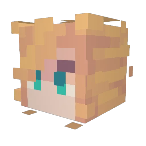 Firefly9 Minecraft avatar head, 3D render
