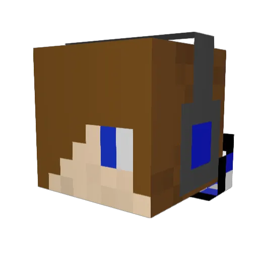 Firejtdogzone Minecraft avatar head, 3D render
