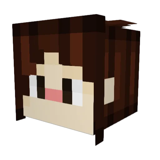 Firekyurem12 Minecraft avatar head, 3D render