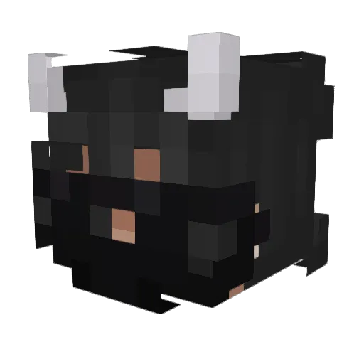 Fireleo512 Minecraft avatar head, 3D render