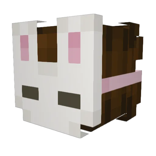 FirelordSketchy Minecraft avatar head, 3D render