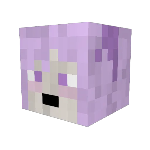 Firemeloner Minecraft avatar head, 3D render