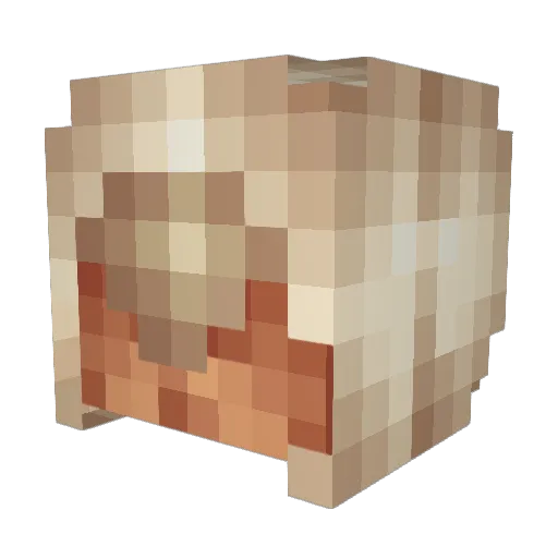 Fireninja264 Minecraft avatar head, 3D render