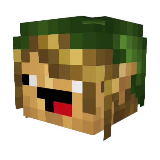 Fireninjavin Minecraft avatar head, 3D render