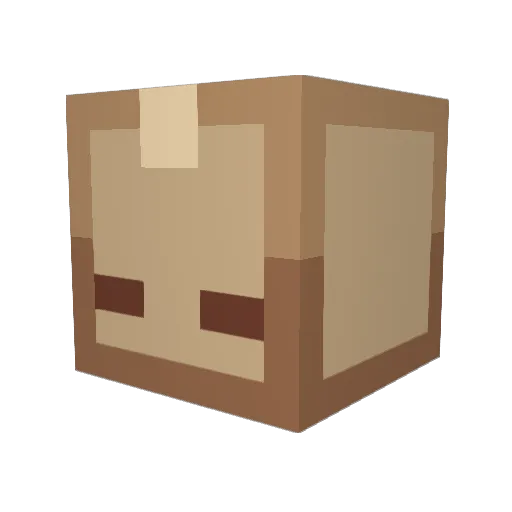FireonBox Minecraft avatar head, 3D render
