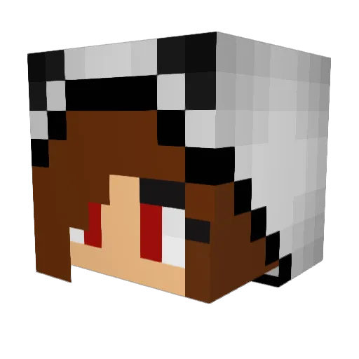 Firepanda10 Minecraft avatar head, 3D render
